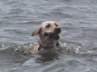 Instructions for Fun at the River