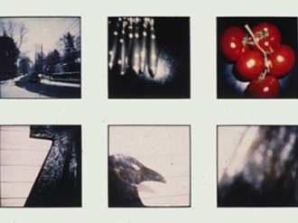 Grid of 16 Polaroids