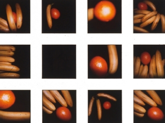 Grid of 25 Polaroids
