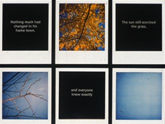Polaroid Story Grids