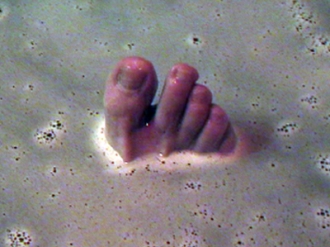 My Water Video